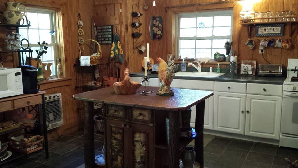 Cabin kitchen
