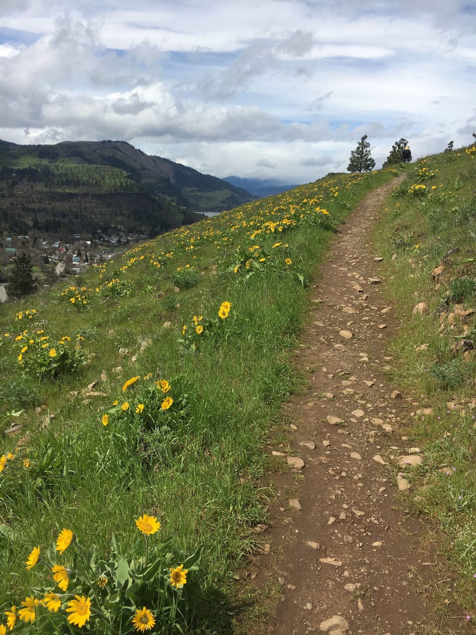 Gorgeous hike to Mosier Bluff right out our door