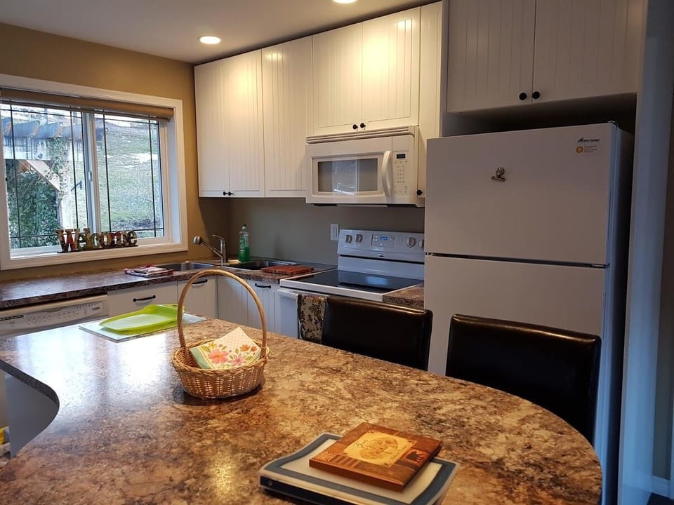full size fridge, stove, oven, microwave, dishwasher