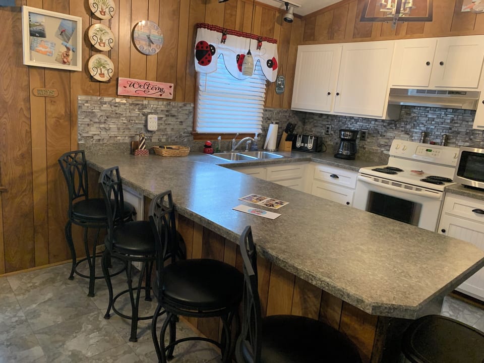 Dining/Kitchen Area