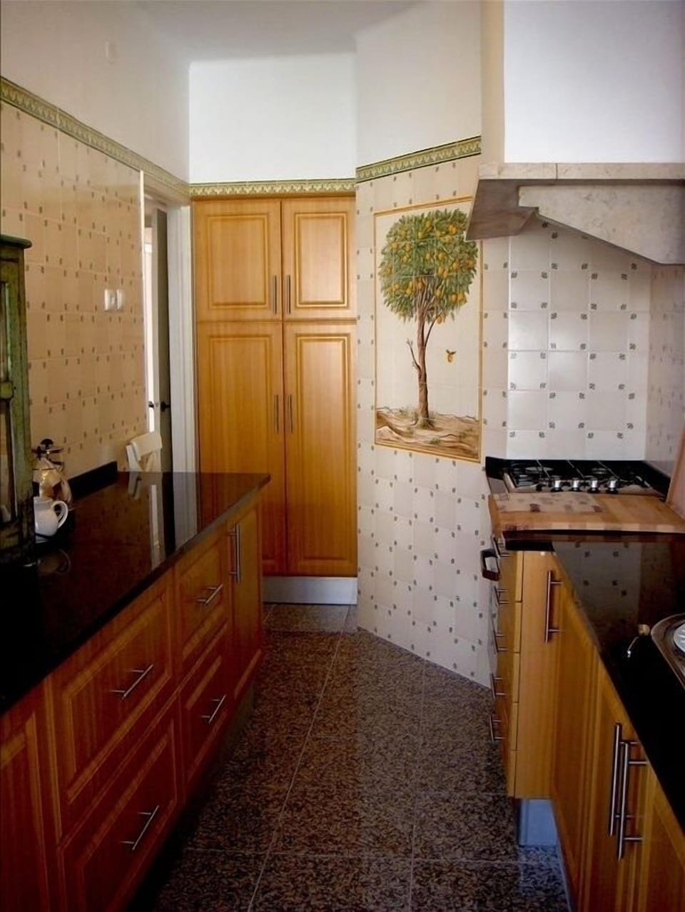 Portuguese tiled kitchen with gas stove, oven, fridge, kettle and microwave.
