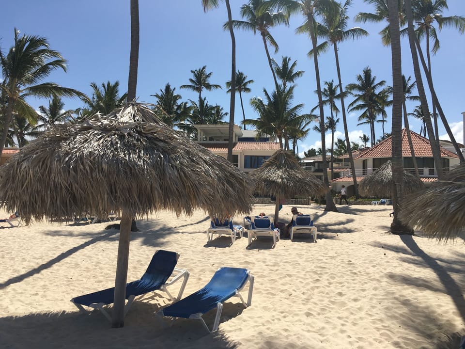Chairs waiting for you on the beach 
