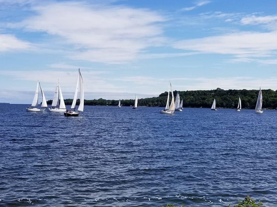 Saturday Regatta in the harbor.