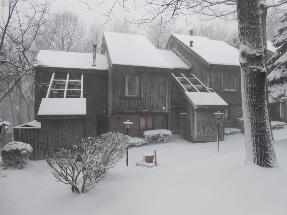 Winter Fun!