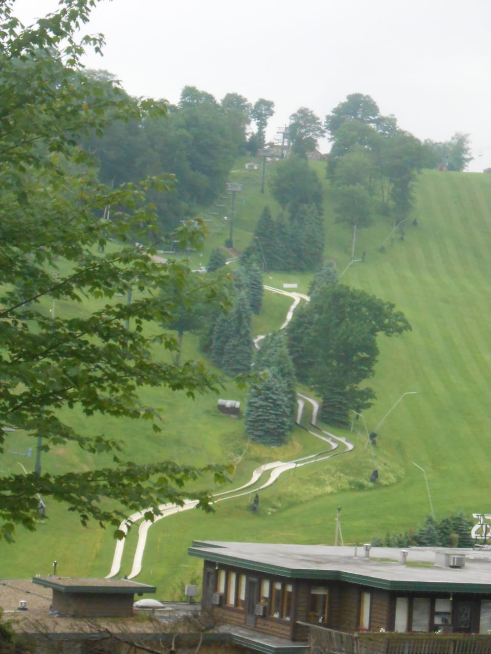 Summer fun!  Alpine slide