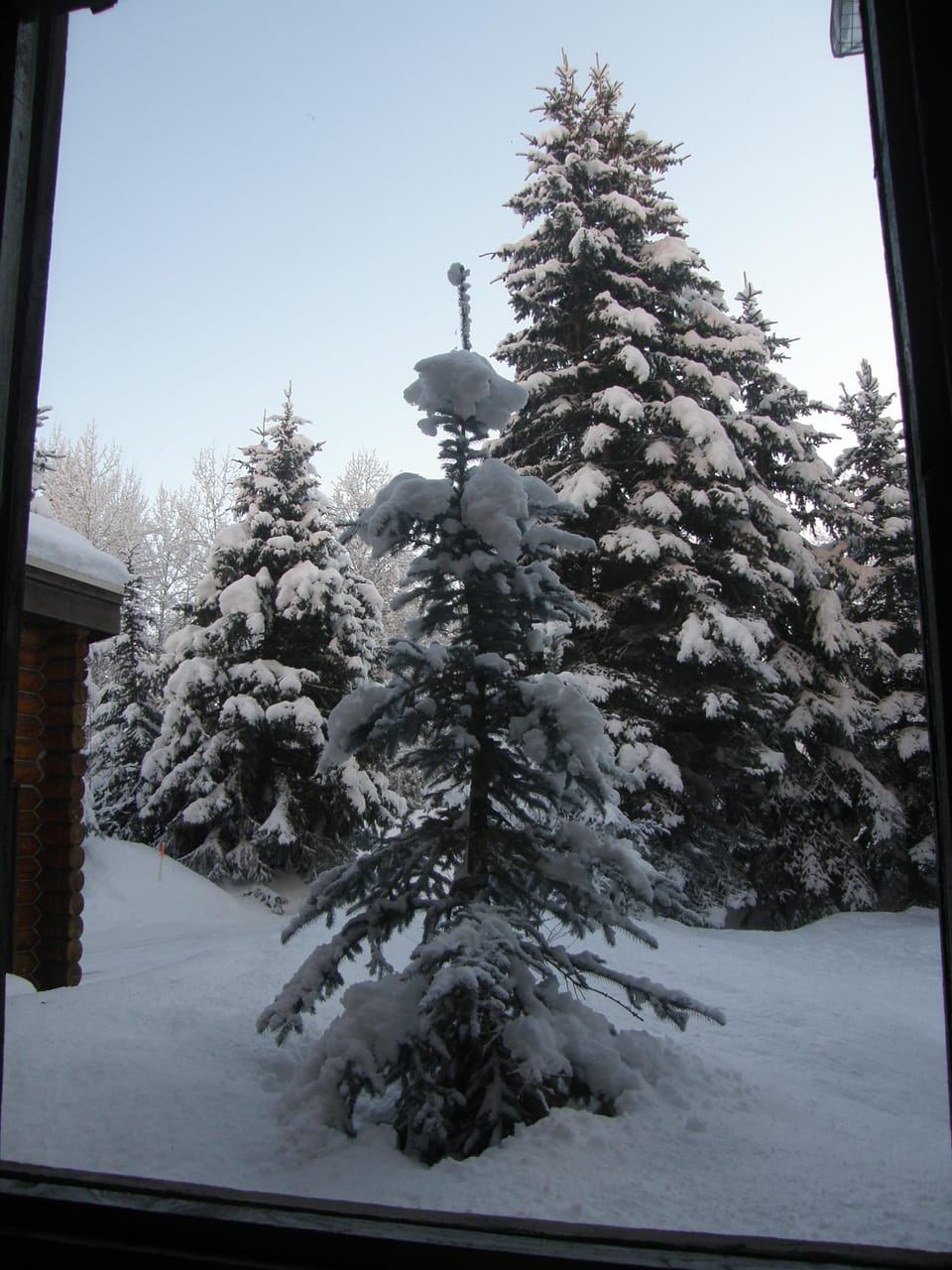 View from property