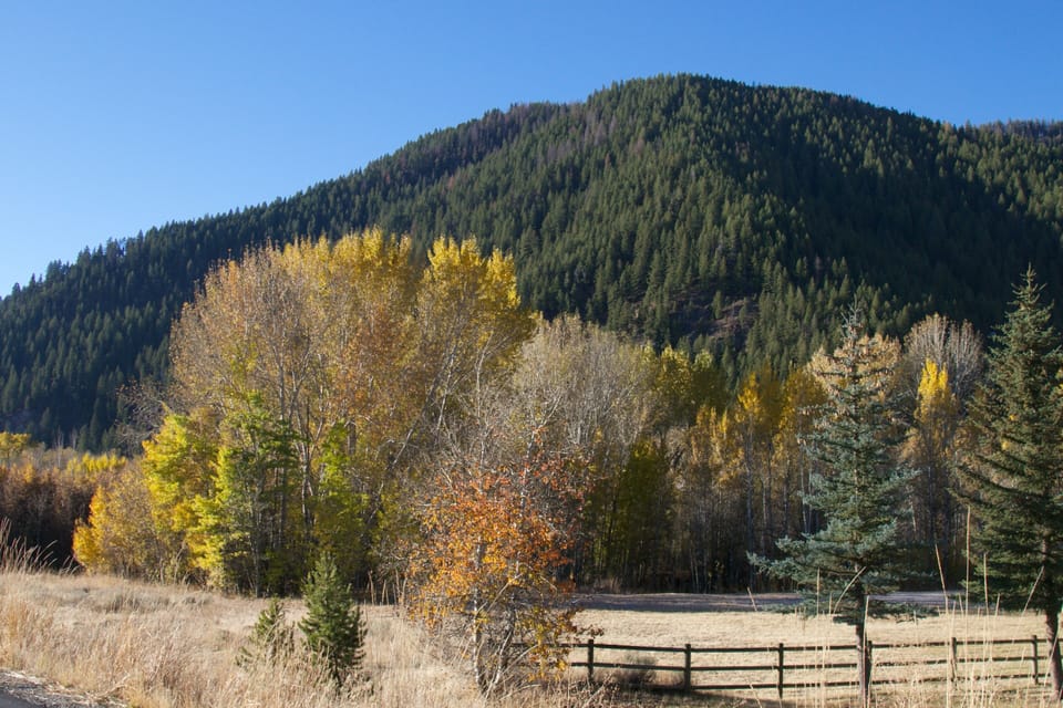 October colors by Bald Mountain, from bike/ski/dog trail