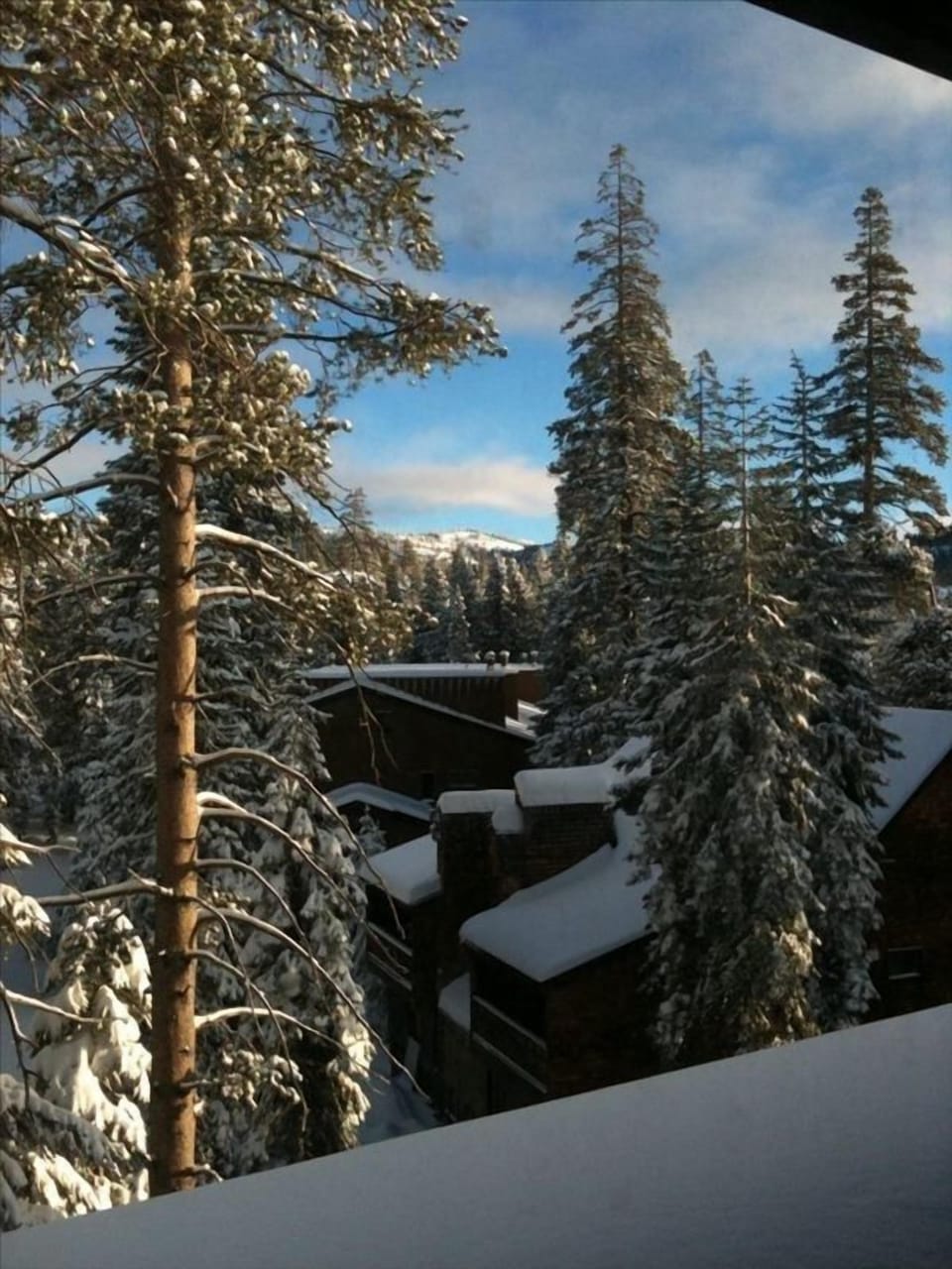 View from Condo
