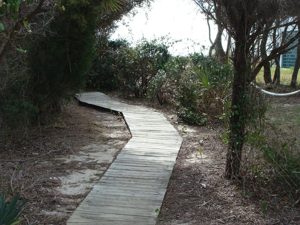Boardwalk to the beach