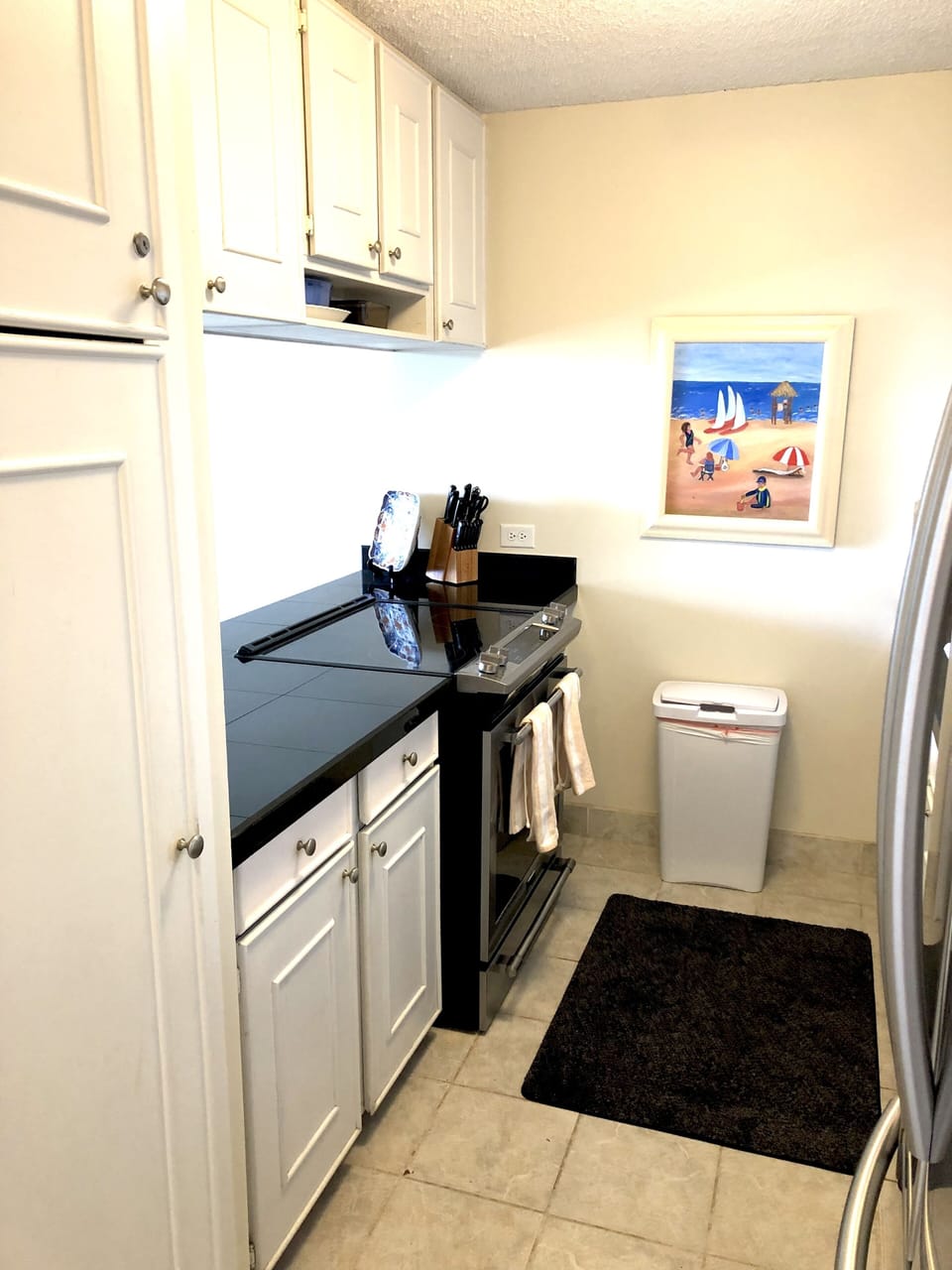 Granite countertops and newer stainless steel appliances