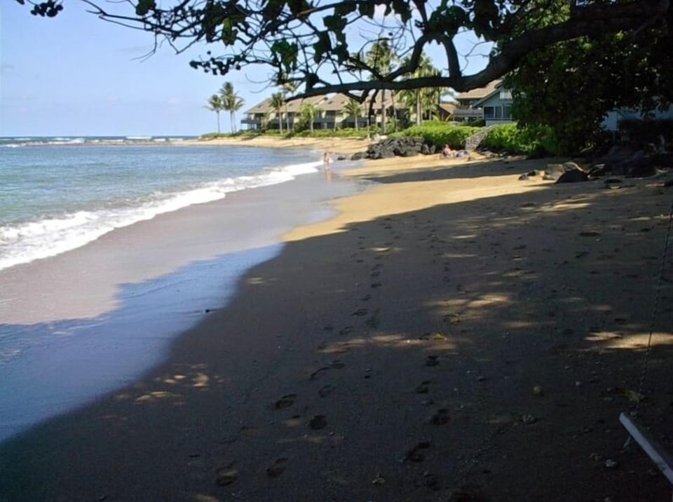 Beach at north end of condo complex.