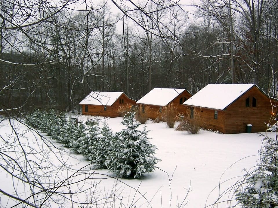 Beautiful winter snow!