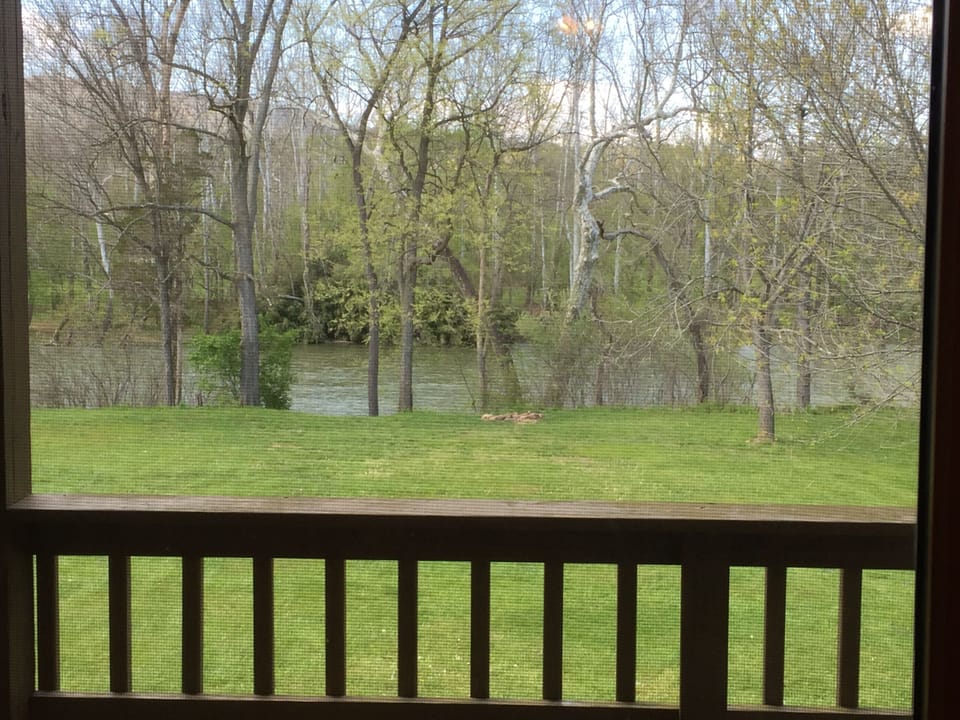 View of the yard and river from living room window