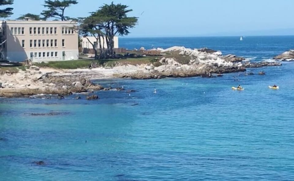 Monterey Aquarium