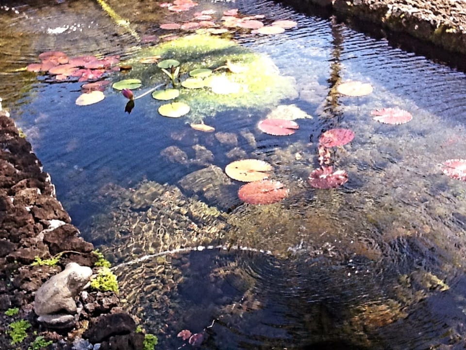 looking out master bedroom