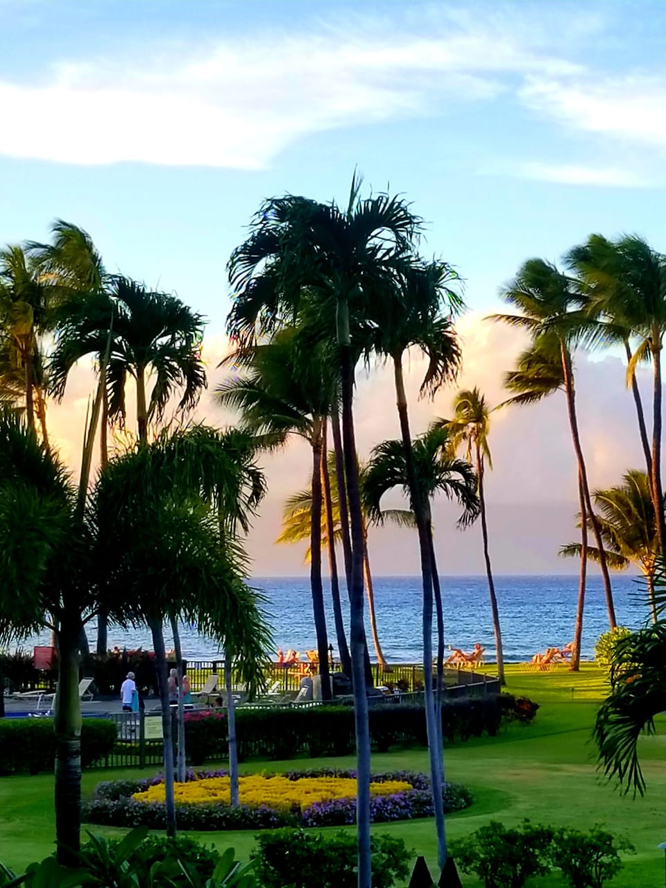 lanai view