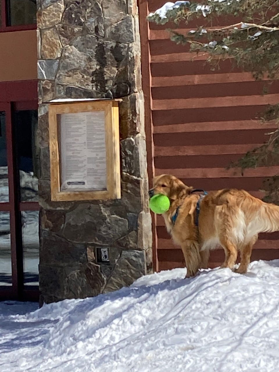 We're pet friendly!
