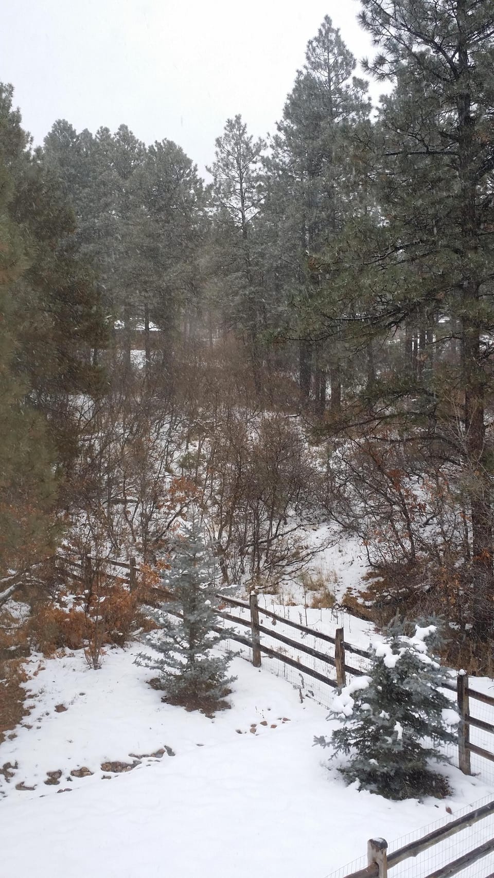 View from Master Bedroom