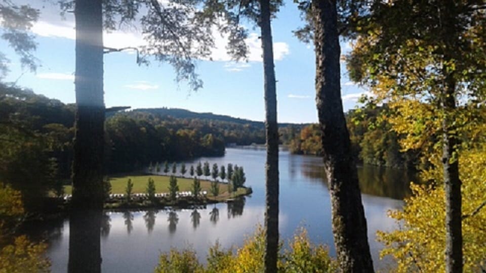 Pull up a chair and enjoy this deck view (actual view from deck).