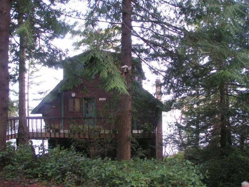 Front Cabin View