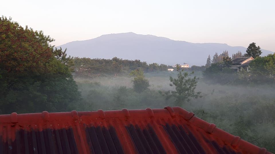 Winter mist in Nov 2015