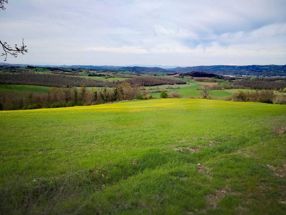 Country house with pool and panoramic view, ideal for families with children House in Tuscany