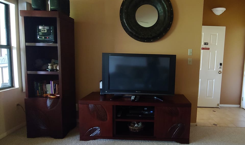 Living Room / Entertainment area