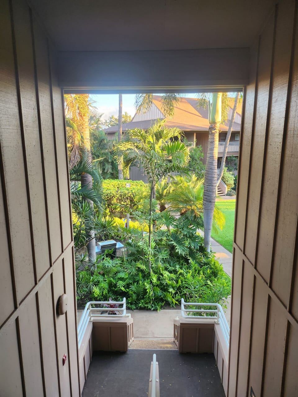 View from the front door