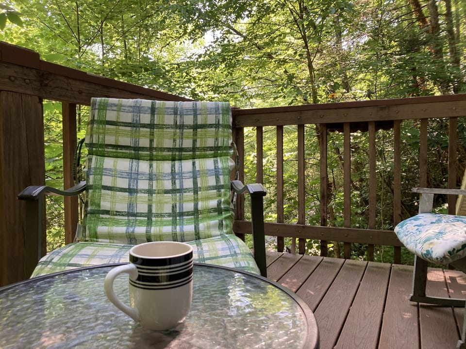 Morning cup of coffee in the trees