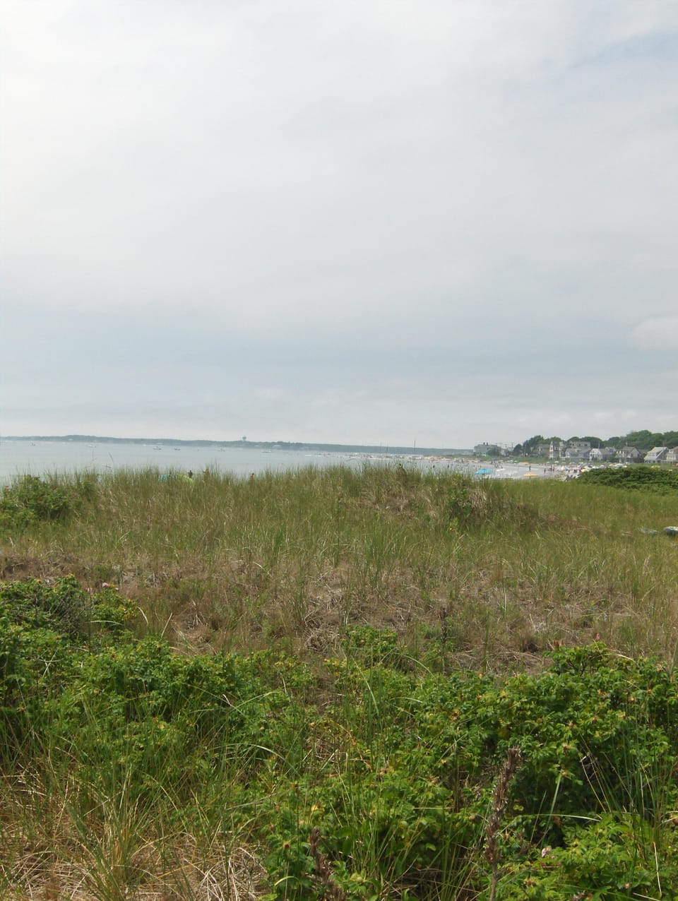 Again.....Not the view from the house but at our public access point to Beach