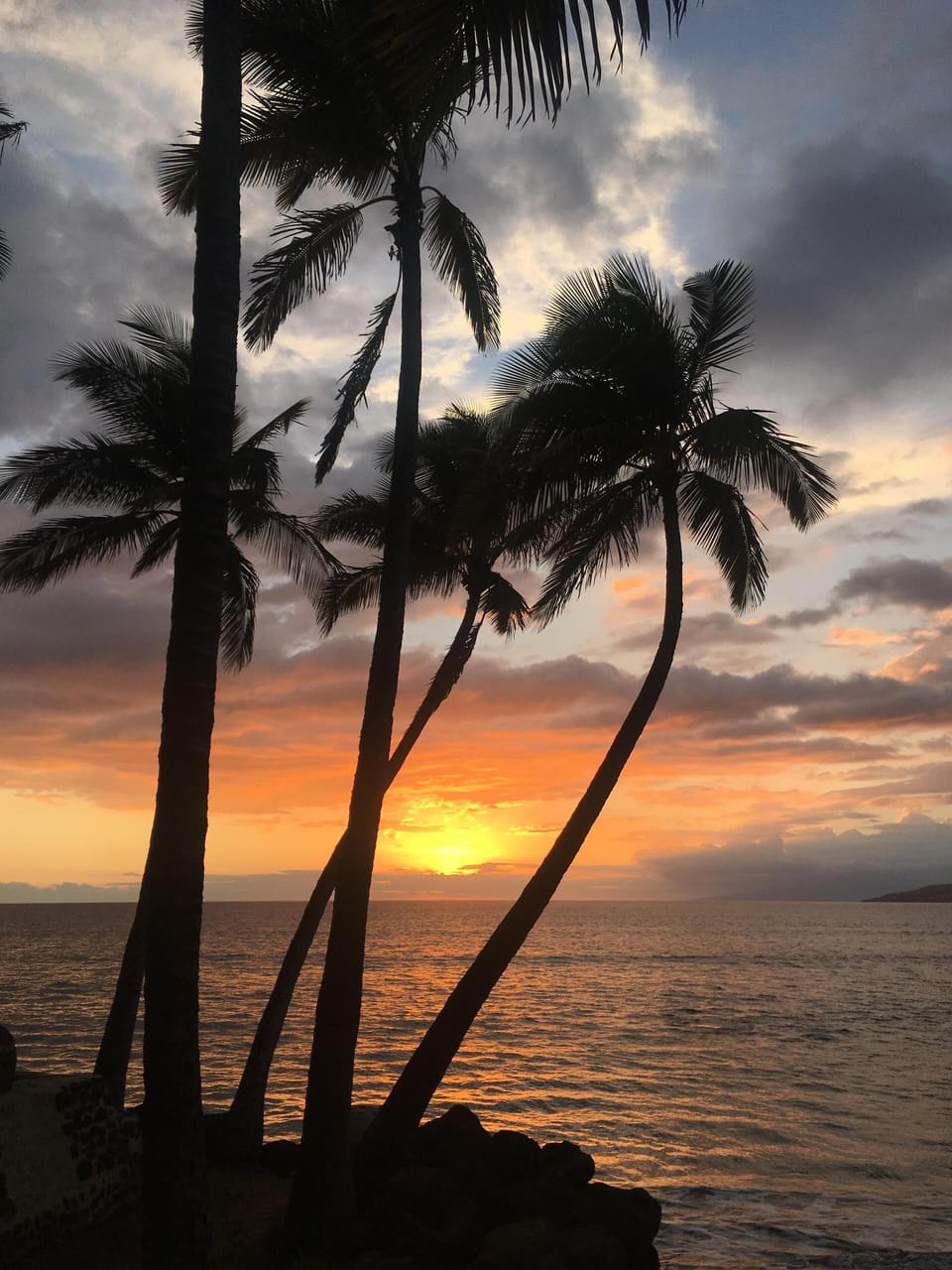 Come join us at the luxurious Maui Banyan in this tropical paradise.