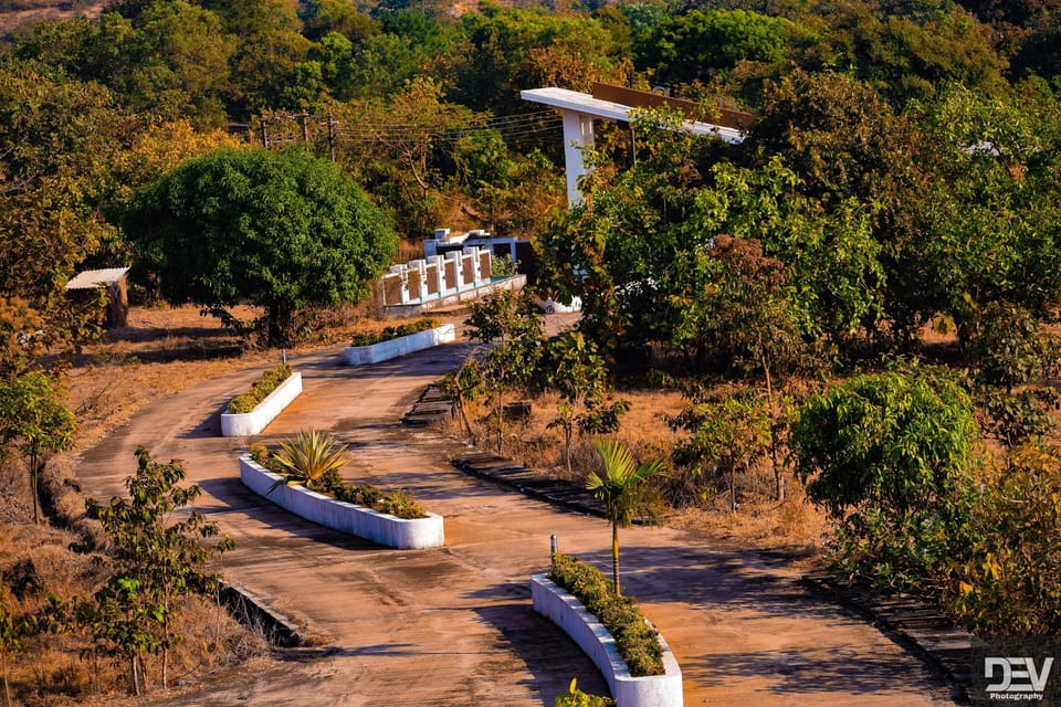 Greenery Around Villa