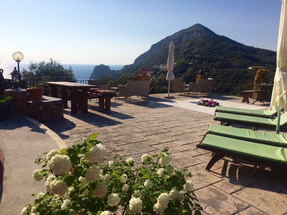 The main terrace