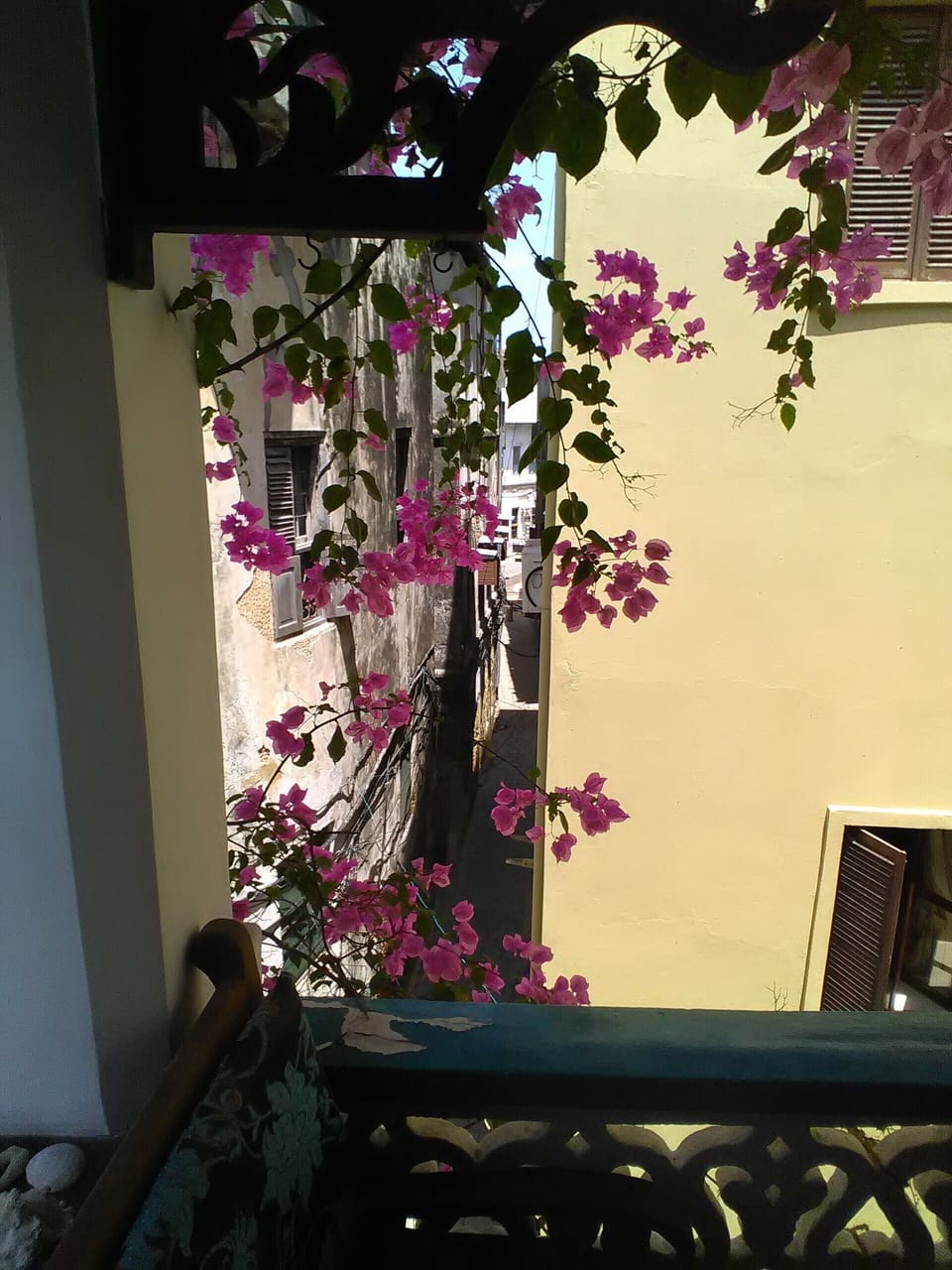 View from property