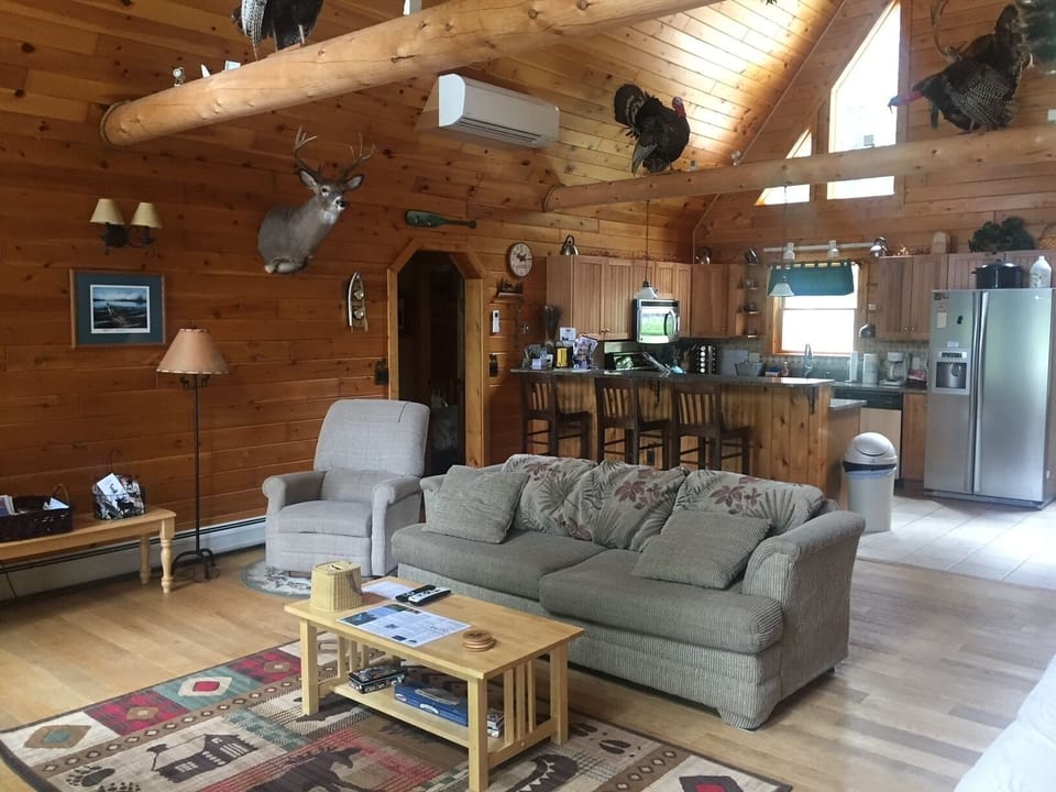 Sleeper sofa and futon in great room