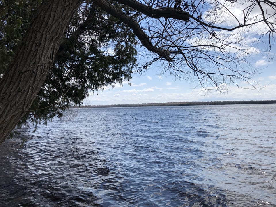 Our 275 feet of private shoreline on Paradise Lake