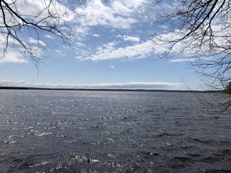 Our 275 feet of private shoreline on Paradise Lake