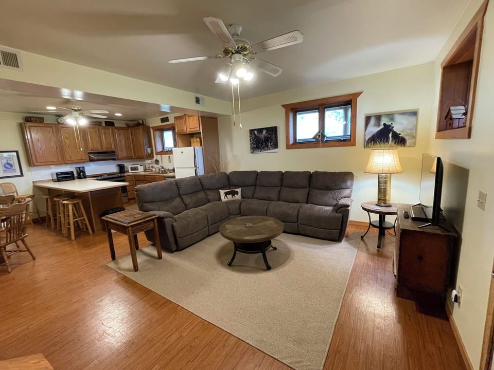 Downstairs living room and kitchen