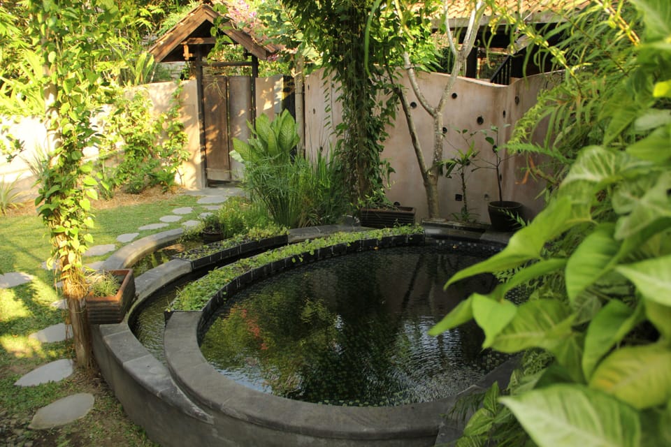 Enjoy your natural dipping pool which only a steps away from your room. 