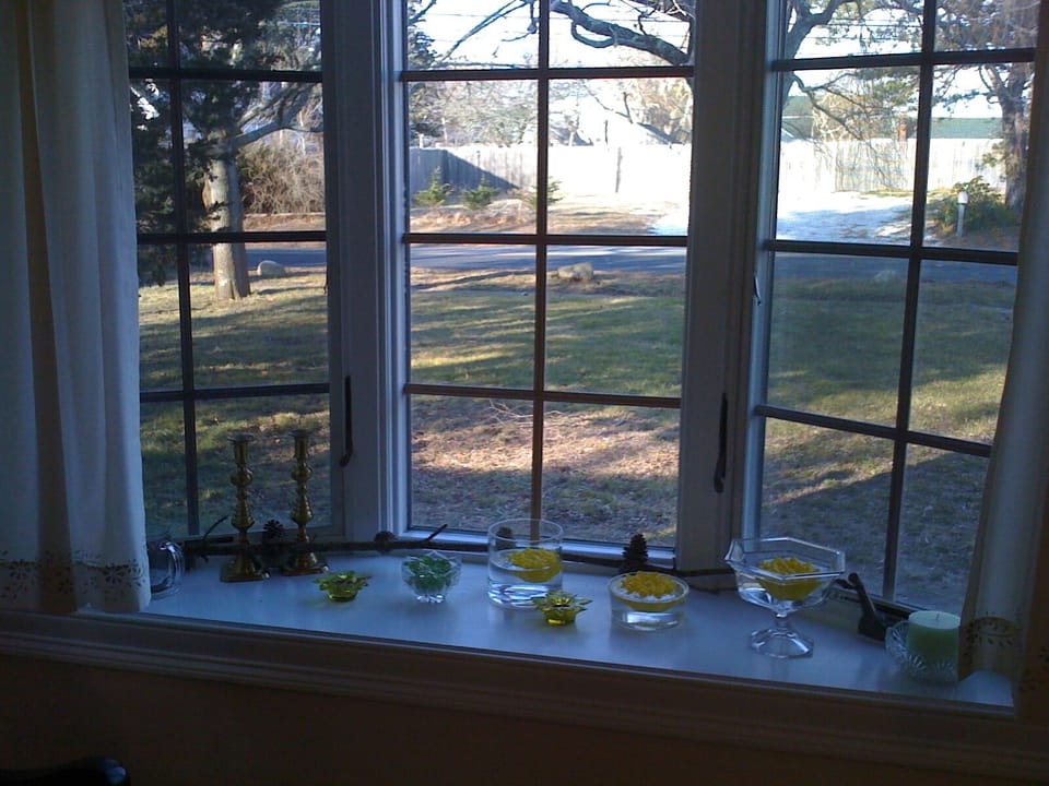 View to front yard