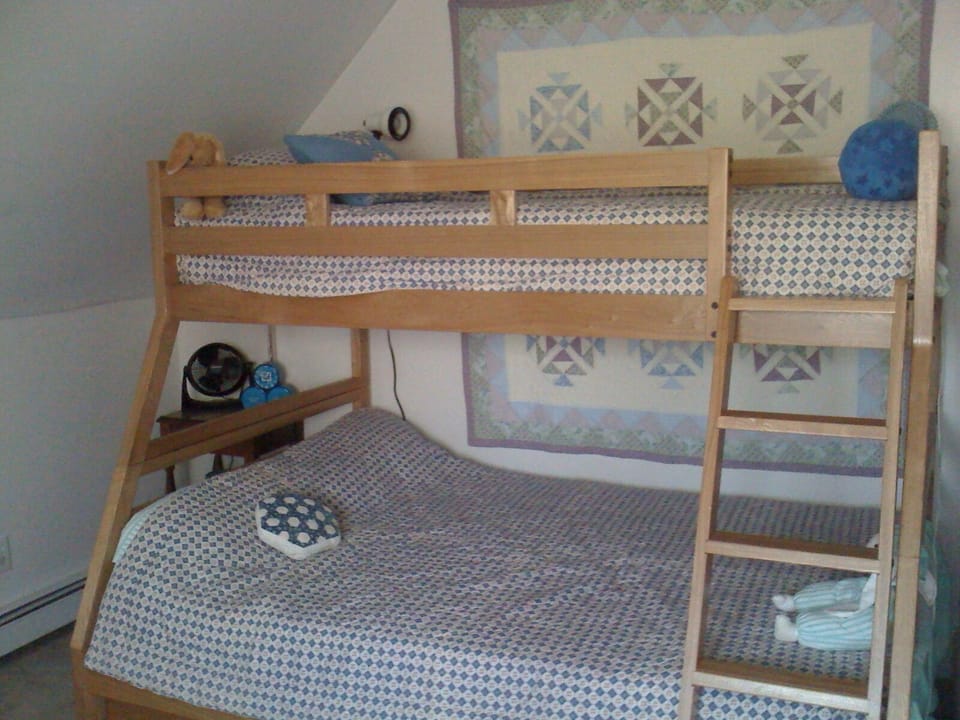 Kids room with bunk bad (full size down and twin up)