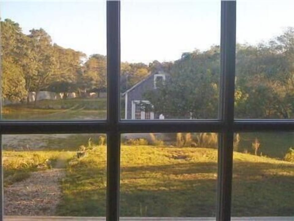 View of the barn in the back yard