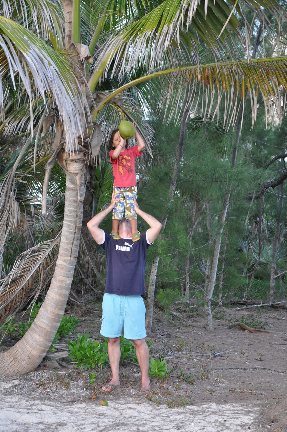 Beach along the Caribbean. Walk to old docks, shelling or grab a coconut