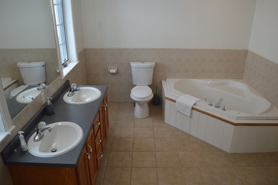 Master en suite bathroom - jetted tub