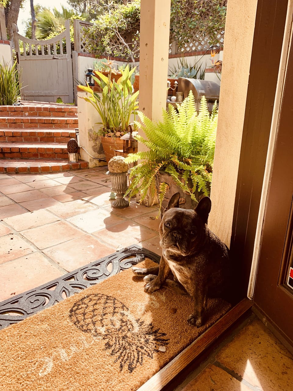Front entrance 