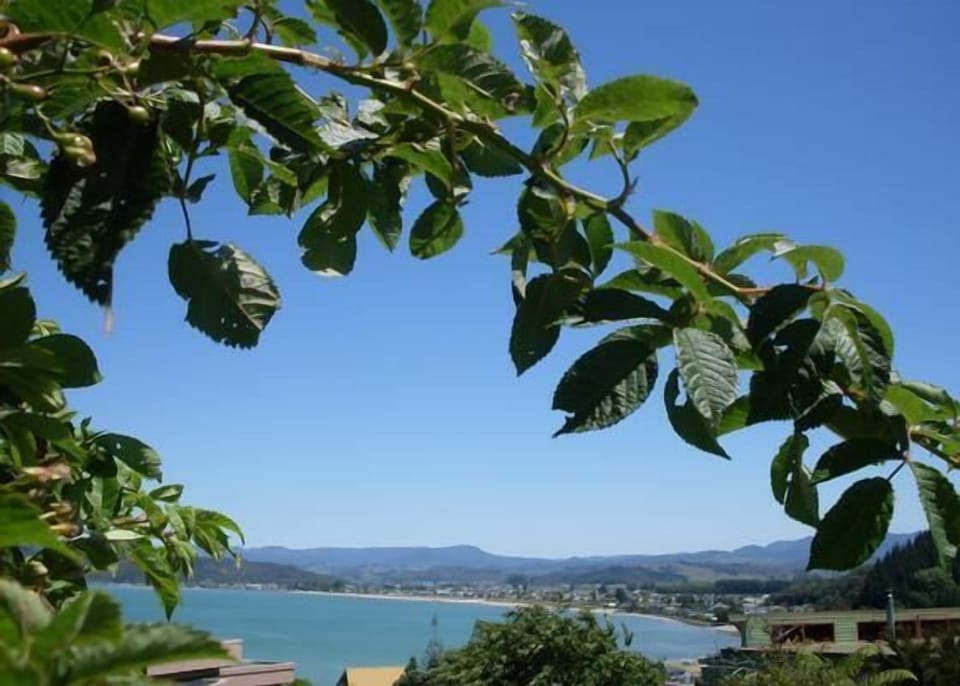 Quaint town of Whitianga beyond