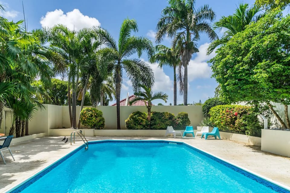 View from Guesthouse on the pool in tropical garden