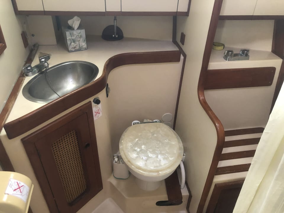 Electric toilet and large stand up shower