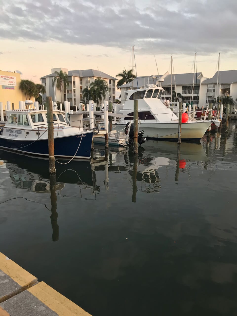 Beautiful boats to watch in the harbor.