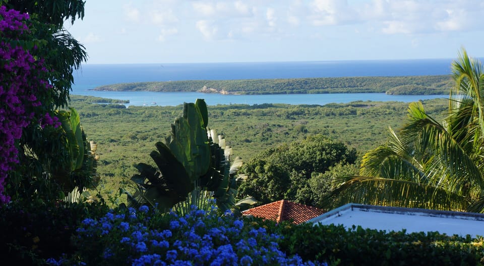 Expansive view of Caribbean and Bioluminescent Bay 